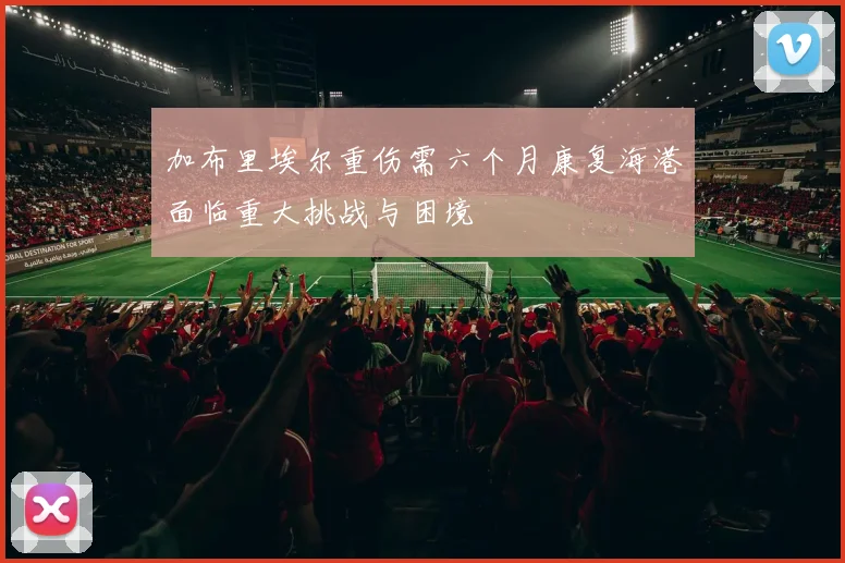 加布里埃尔重伤需六个月康复海港面临重大挑战与困境