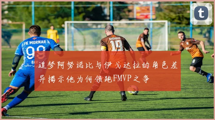 追梦阿努诺比与伊戈达拉的角色差异揭示他为何领跑FMVP之争