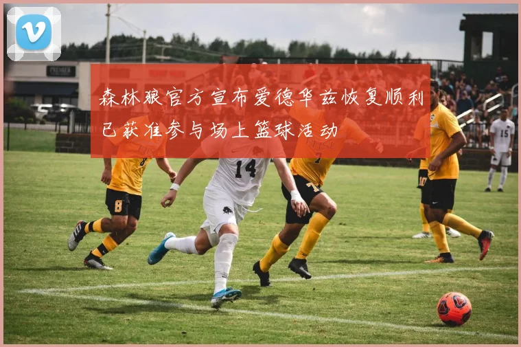 森林狼官方宣布爱德华兹恢复顺利已获准参与场上篮球活动